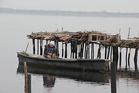 IMG_9110