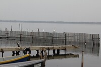 IMG_9111