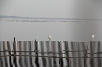 IMG_9114