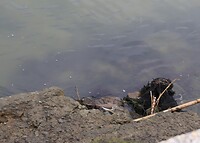 20201111_152808