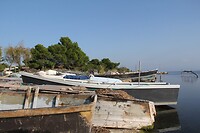 IMG_9191