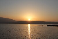 IMG_9206