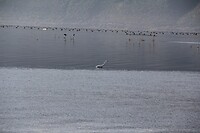 IMG_9209