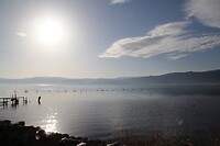 IMG_9212