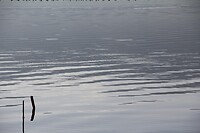 IMG_9214