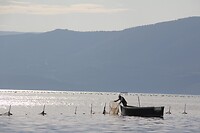 IMG_9219
