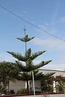 IMG_9234