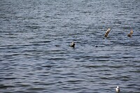 IMG_9092