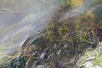 IMG_9221