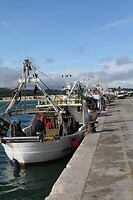 IMG_9246