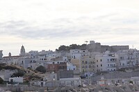 IMG_9257