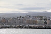 IMG_9258