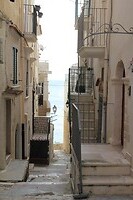 IMG_9278