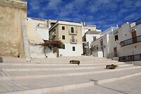 IMG_9283