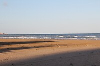 IMG_9338