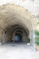 IMG_9350