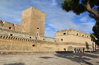 IMG_9392
