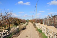 IMG_9418