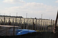 IMG_9423