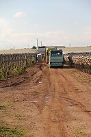 IMG_9431
