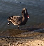 20201127_204327