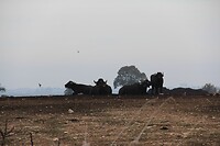 IMG_9443