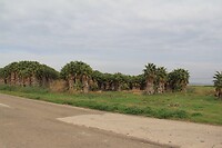 IMG_9448