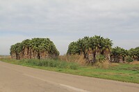 IMG_9449