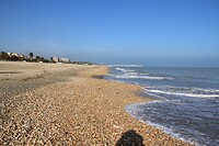 IMG_9462