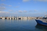 IMG_9467