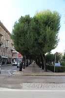 IMG_9474