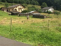 86F5E265-BA74-45DB-A882-5622E1A973A7