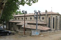 IMG_9741