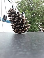 20210812_182144