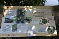 IMG_9809