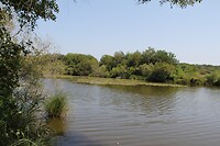 IMG_9827