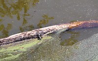 IMG_9815 (2)