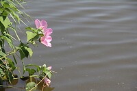 IMG_9823
