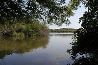 IMG_9810