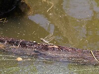 IMG_9819 (2)
