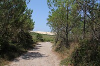IMG_9807