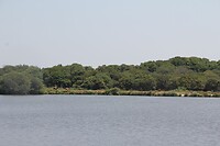 IMG_9812