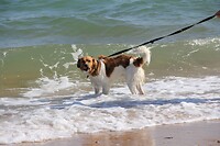 IMG_9907