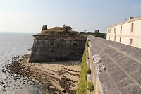 IMG_0006