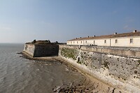 IMG_0009