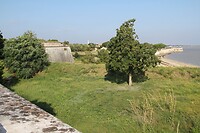 IMG_0015