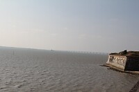 IMG_0016
