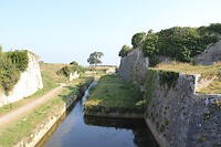 IMG_0017