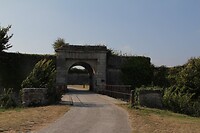 IMG_0024