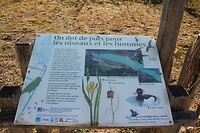 IMG_0031